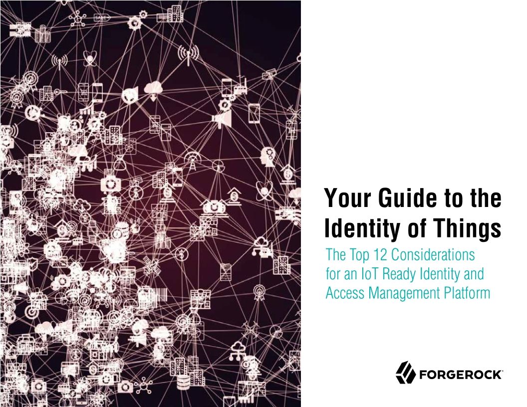 Your Guide to the Identity of Things