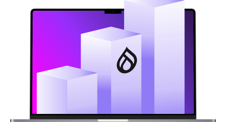 What Makes Drupal Enterprise-Ready? The Guide to Scaling Beyond Standard Deployments