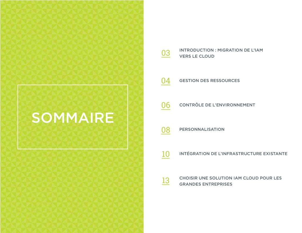 Enterprise Cloud IAM