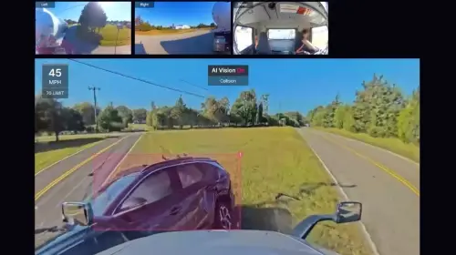 Examples of Collisions Detected by AI