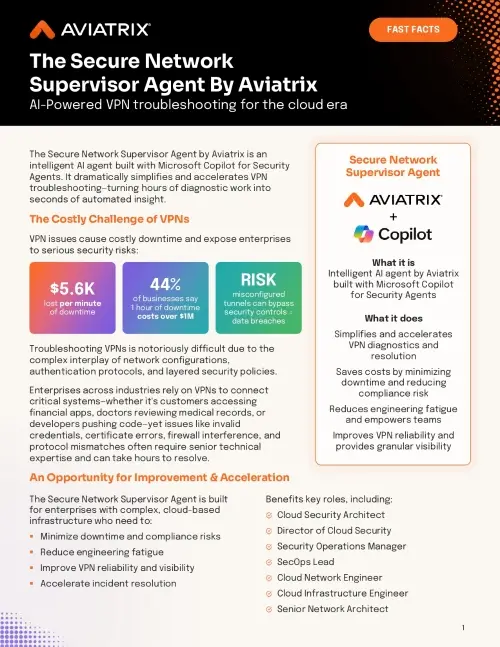 The Secure Network Supervisor Agent By Aviatrix: Fast Facts