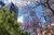 Supplier finance in Australasia