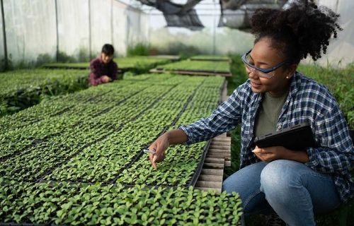 Sustainable finance: how to build an ESG plan that supports your goals