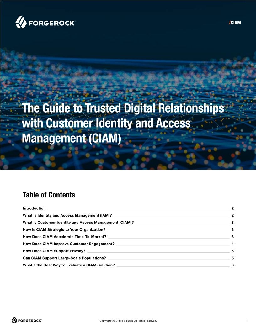The Guide to Trusted Digital Relationships with CIAM