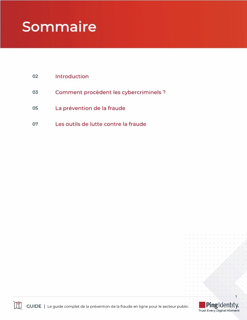 Le guide complet de la pr&eacute;vention de la fraude en ligne pour le secteur public