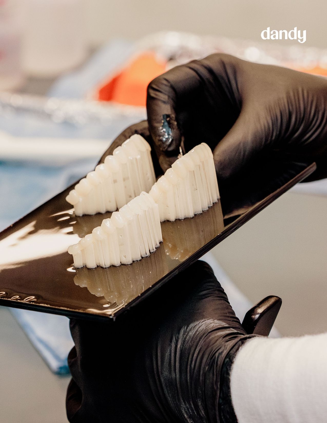 Dentures Product Guide