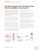 [White Paper] Disaster Survival Guide: Business Continuity Through Cloud Communications