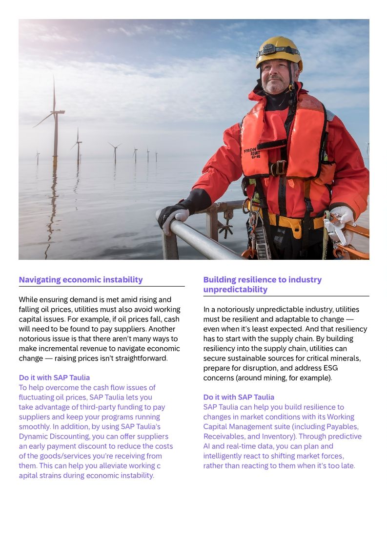 Taulia in the Energy sector datasheet