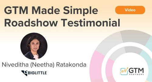 BigLittle.ai Testimonial on the GTM Made Simple Roadshow