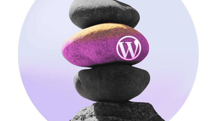 Tools vs Multisite for Managing Multiple WordPress Sites