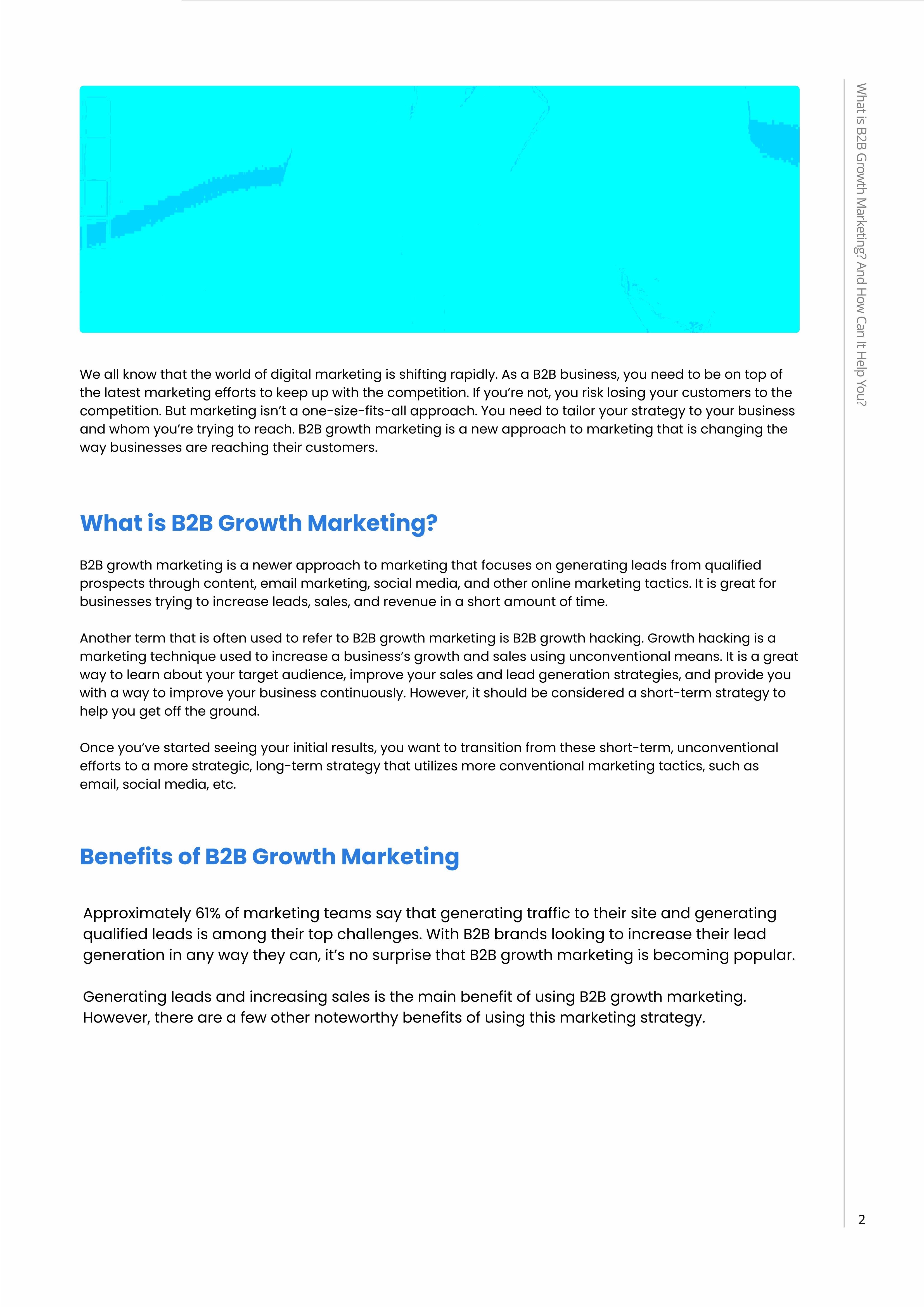 Hushly: What is B2B Growth