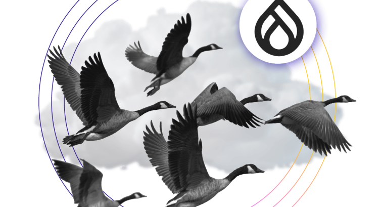 Step-by-Step Drupal Cloud Migration Process