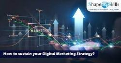 Anonymous-Developing and Sustaining a Digital Branding Strategy-Title