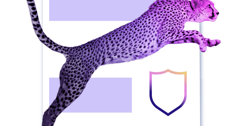 Navigating the Noise: A Look at Bot Traffic on Pantheon