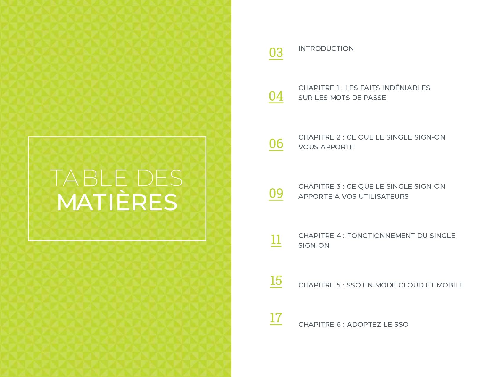 Le Guide Indispensable du Single Sign-on