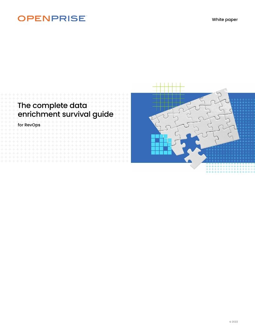 The complete data enrichment survival guide for RevOps