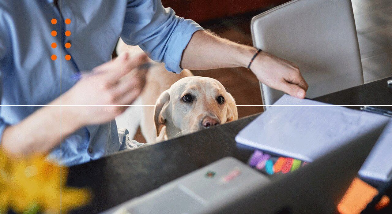 Top 14 alternatives for Datadog in 2026