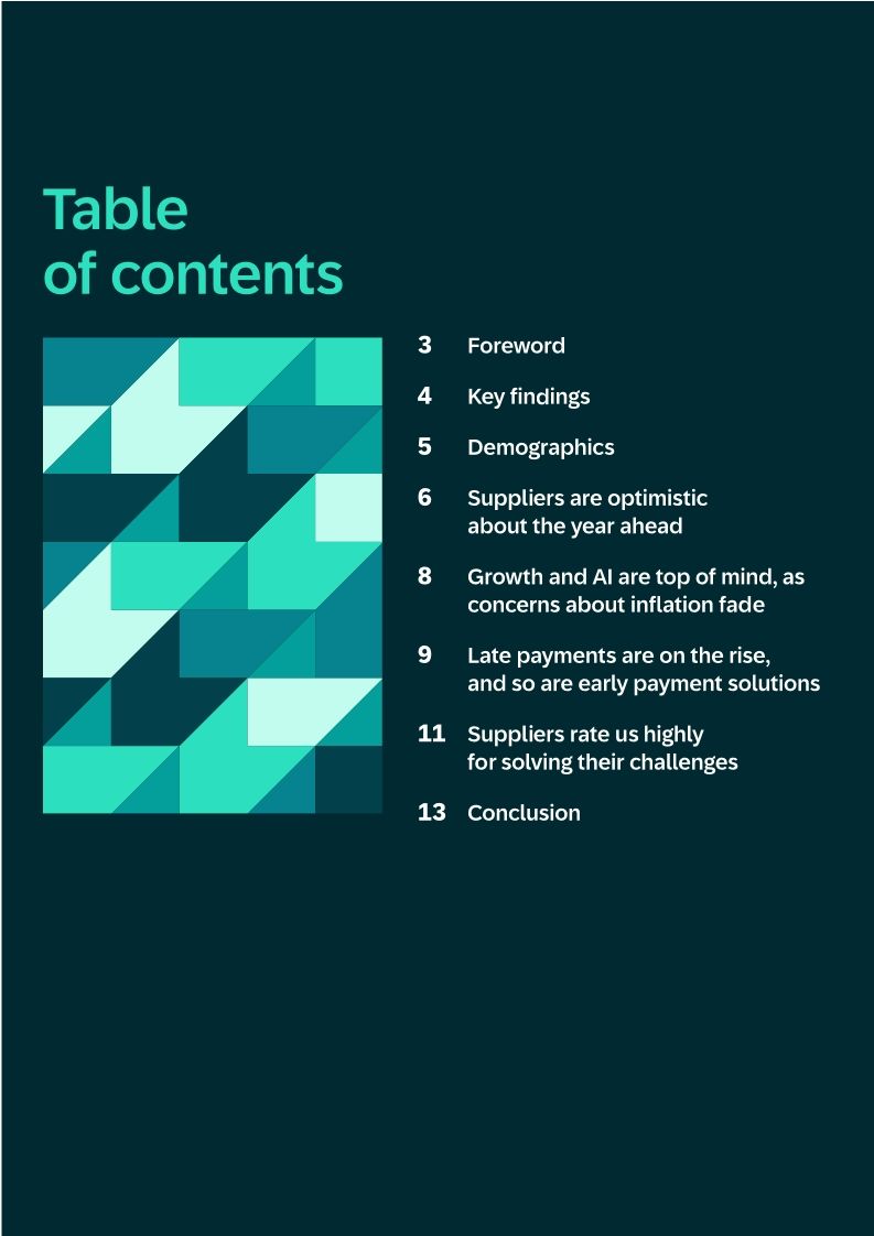 Supplier Survey 2024/25