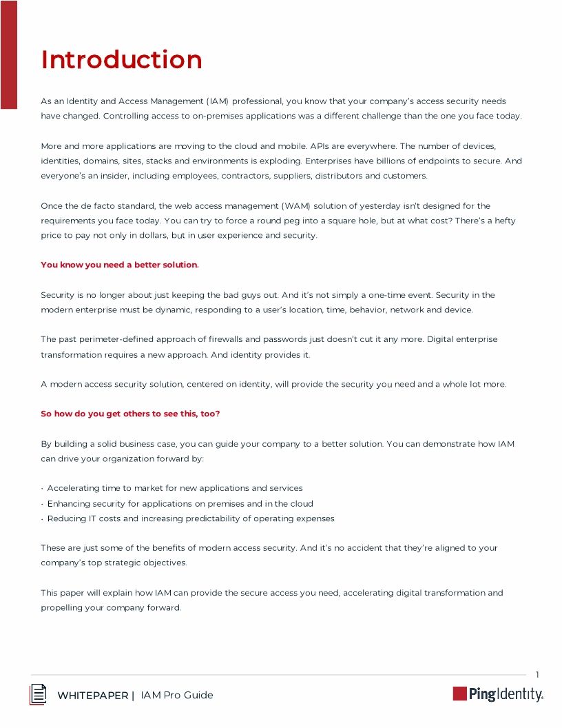The IAM Pro's Guide to Building a Business Case, Part 1