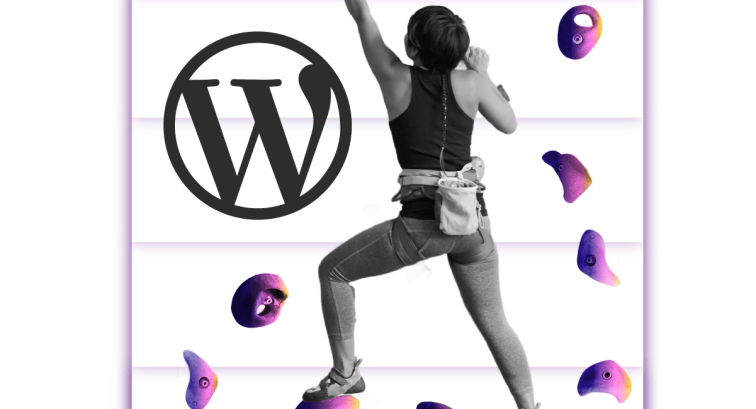 WordPress Scaling Infrastructure Step-by-Step Guide for Growing Sites