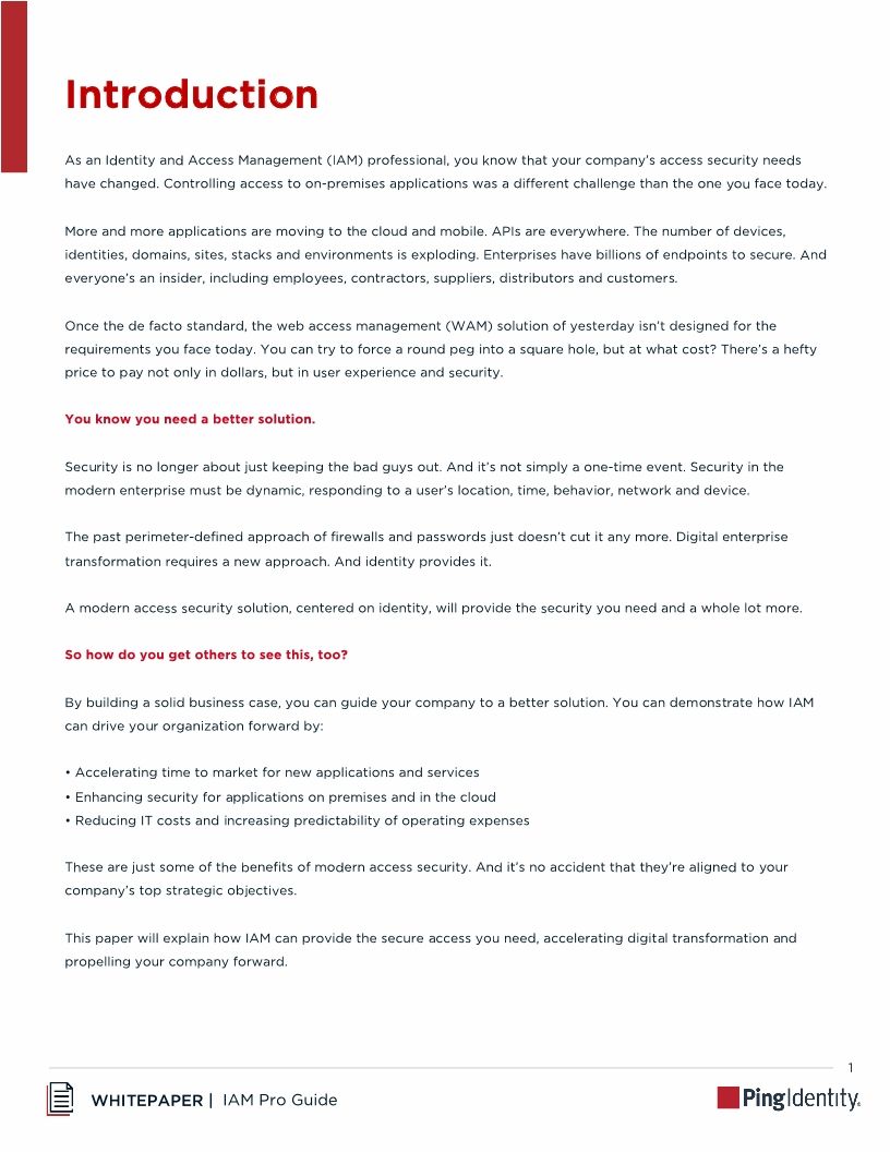 The IAM Pro's Guide to Building a Business Case, Part 1