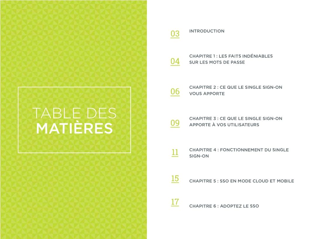 Le Guide Indispensable du Single Sign-on