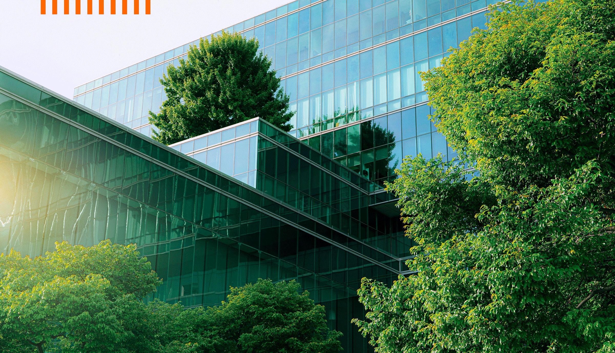 Green Data: The Role of Observability in Shaping a Sustainable Future