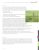 College Simplifies IT Asset Management and Streamlines Workflows Using SolarWinds ITSM Software