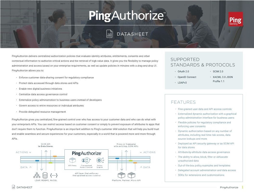 PingAuthorize