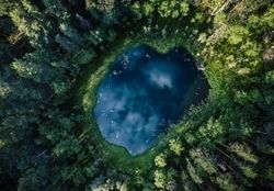 Transforming Finance: The CFO’s Role in Driving Sustainable Growth